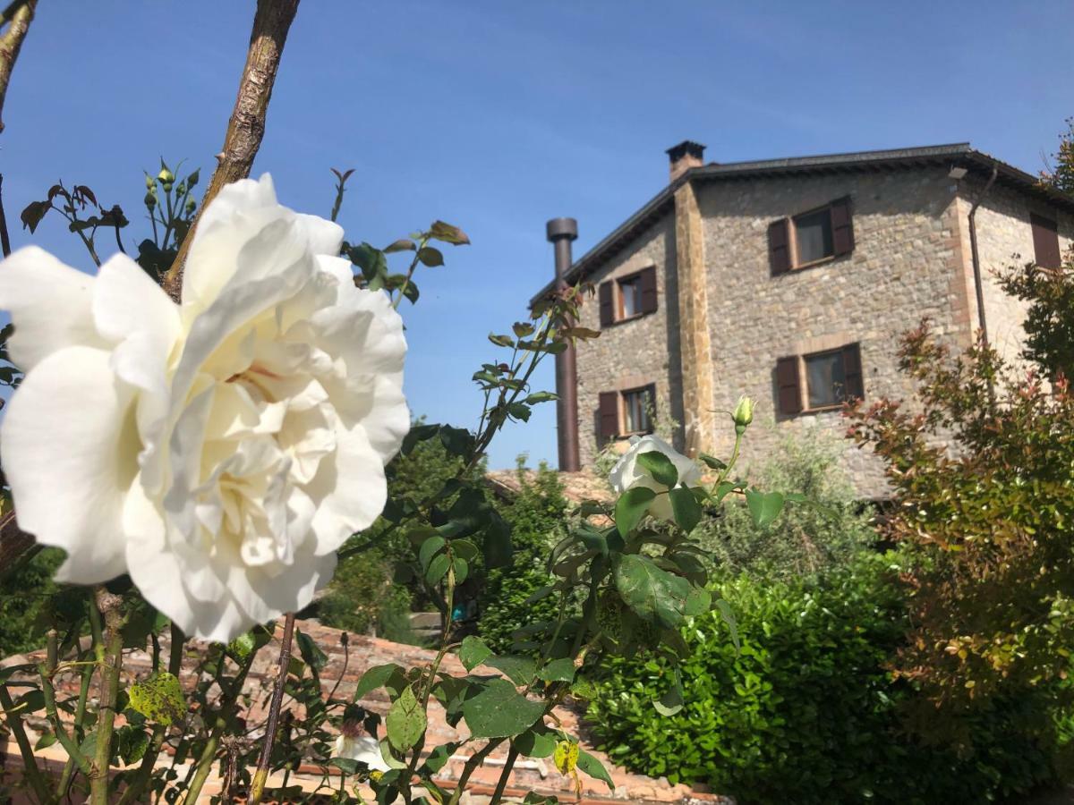 Agriturismo Beata Vanna 法布罗 外观 照片
