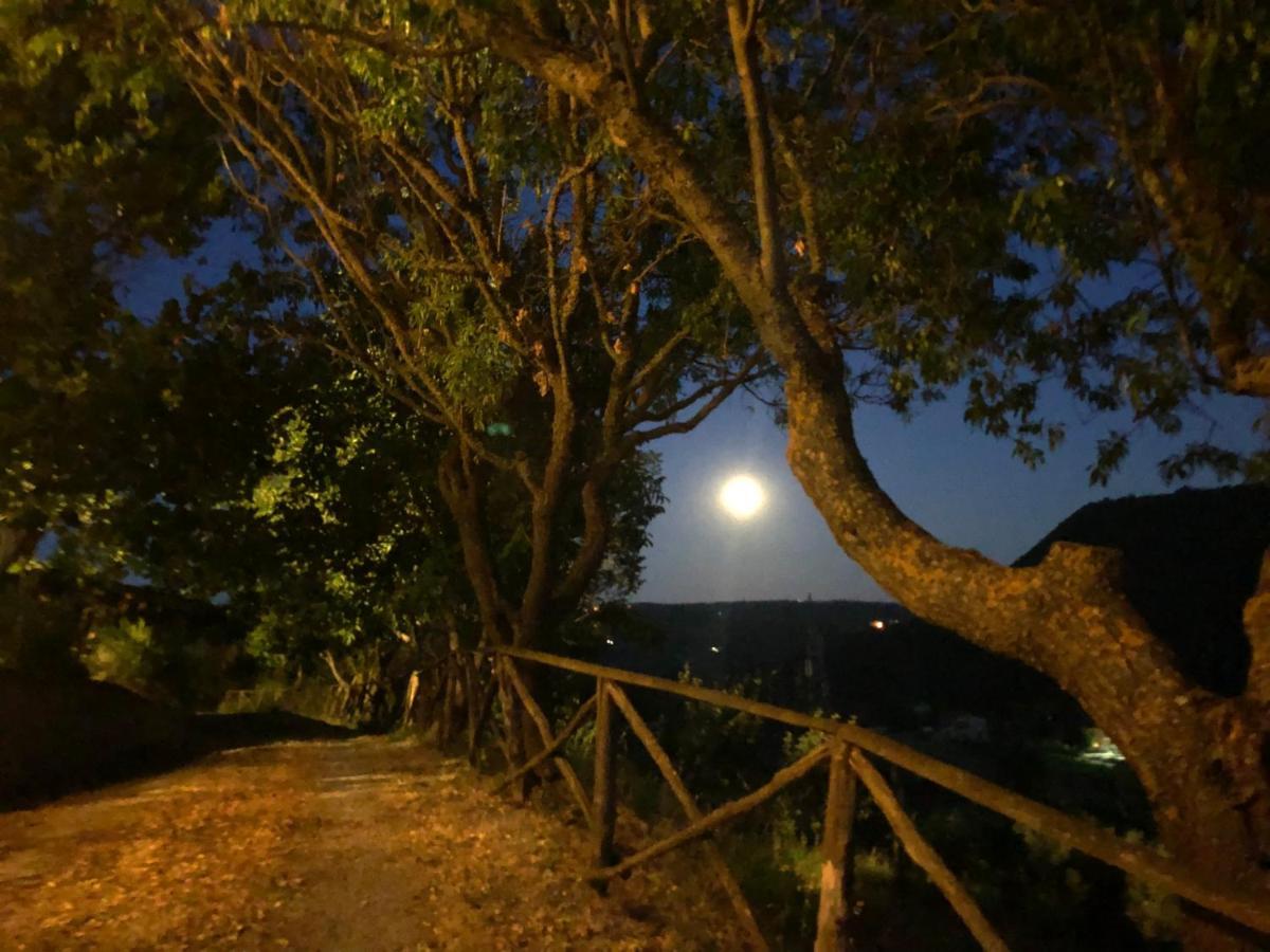 Agriturismo Beata Vanna 法布罗 外观 照片