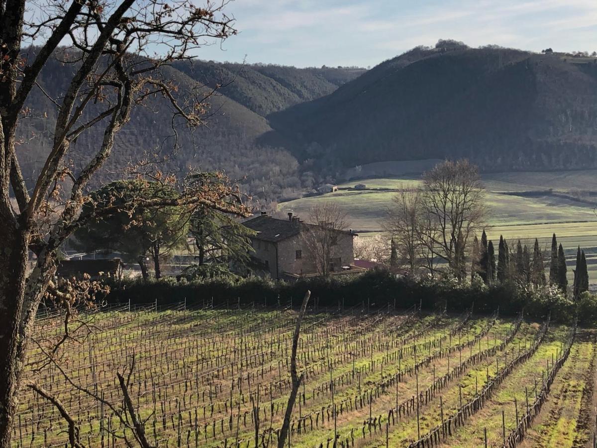 Agriturismo Beata Vanna 法布罗 外观 照片